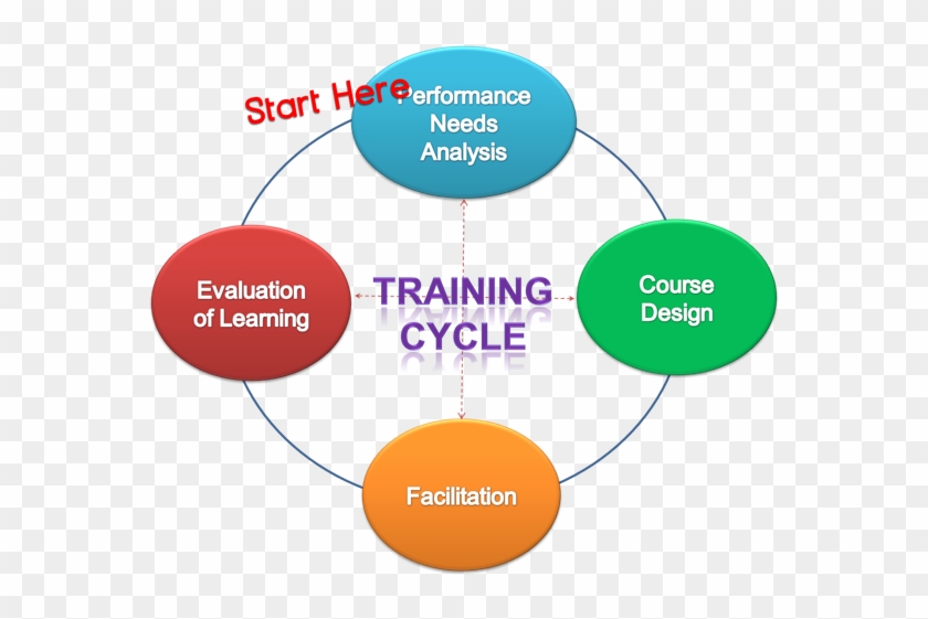 Training Design Essay View Essay - Diagram #1220538