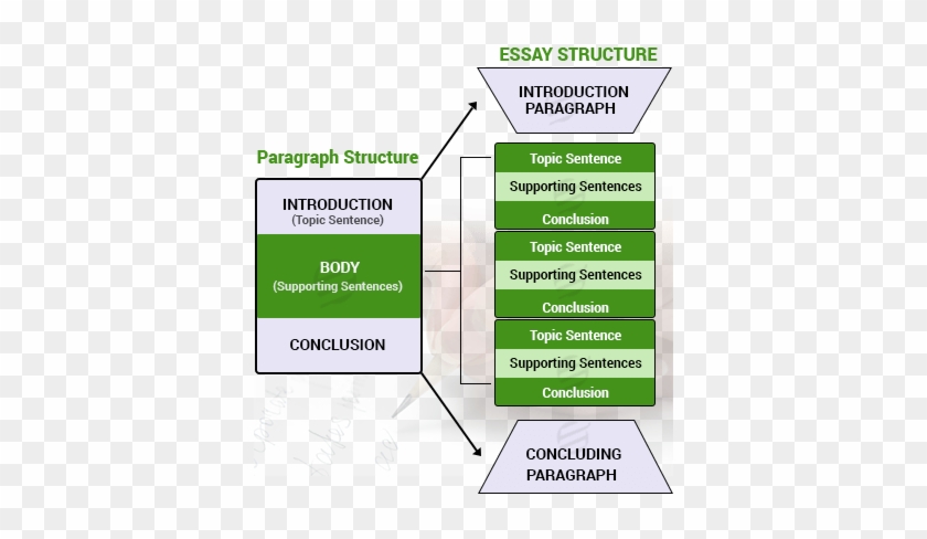 Academic Essay Writing Help - Document #1220542