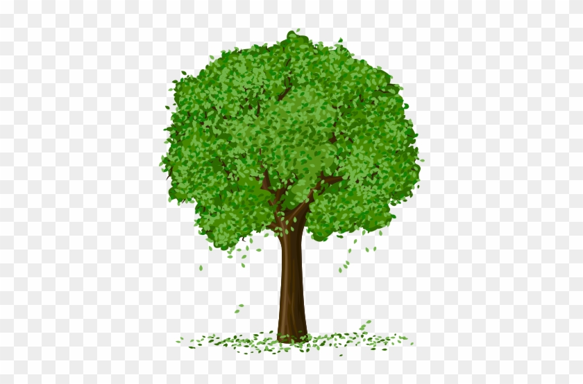 Spring Tree Vector 500*500 Transprent Png Free Download - Apple Tree Transparent Background #1220762