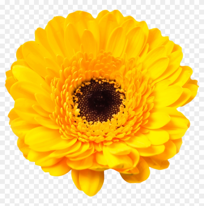 This Free Icons Png Design Of Flower 92 - Large Sunflower Wall Decals #1220841