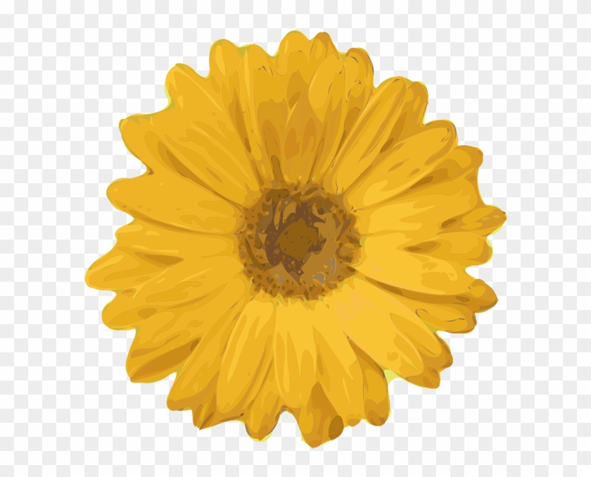 Flower Clipart - Perks Of Being A Wallflower Flower #1220852