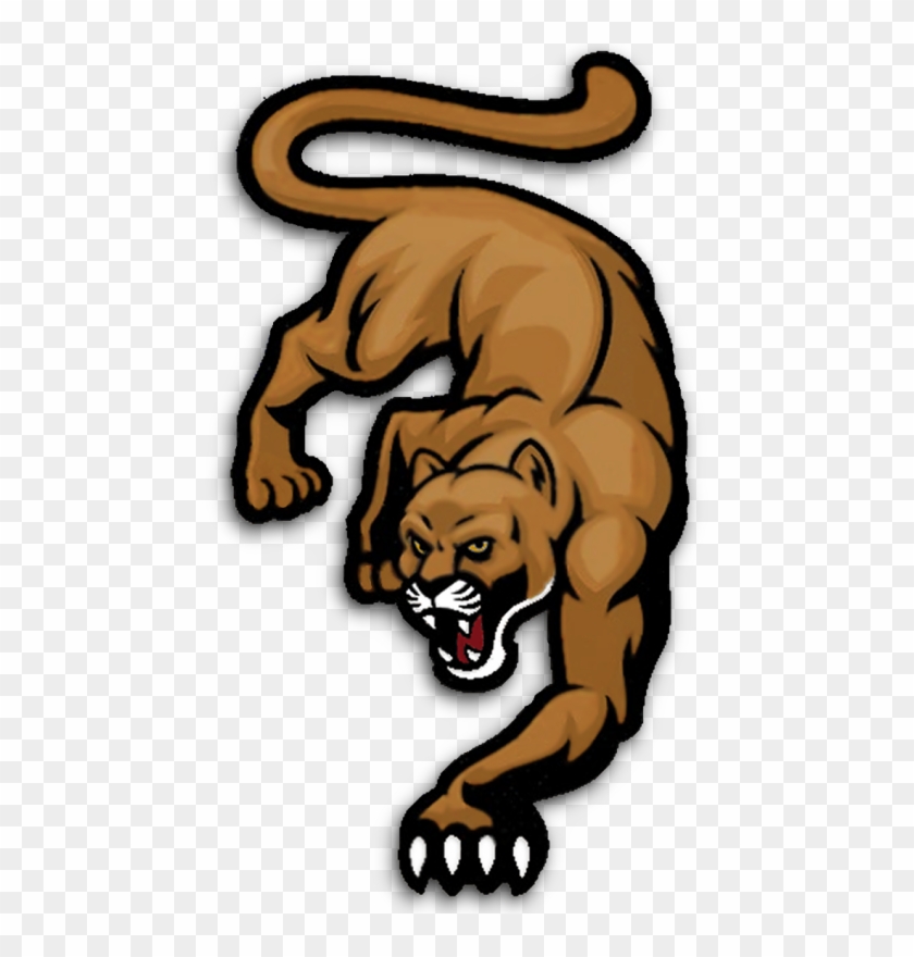 Minnesota Mountain Lions - Vector Graphics #1221125