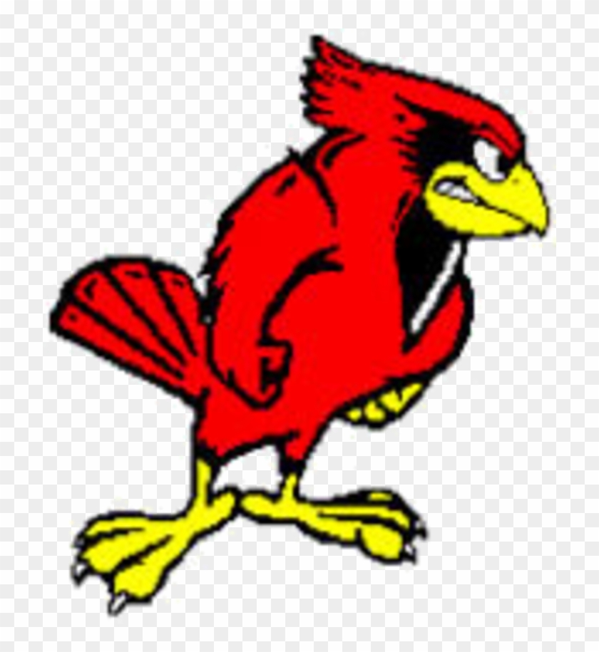 Hoover Cardinals - Illinois State University Mascot #1221150