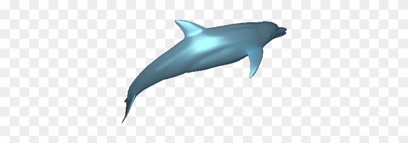 Animated - Animated Dolphin Gif #1221329