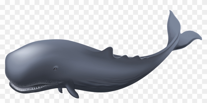 Whale Clipart Two - Whale Png #1221363