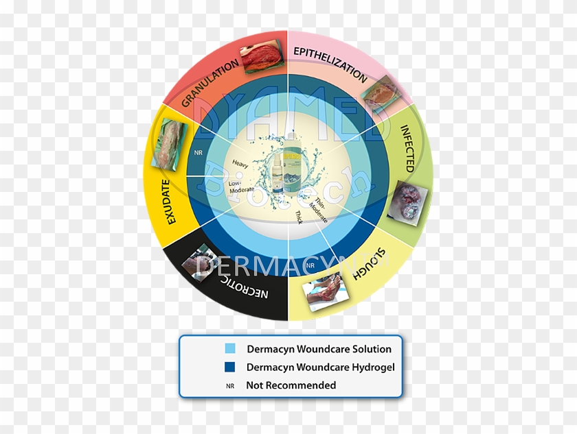 Usage Guidelines - Watermark #1221427