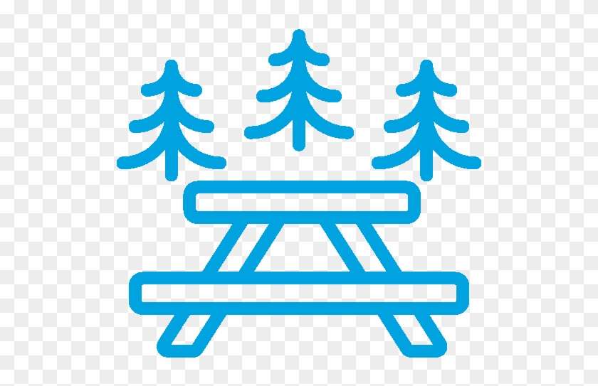 Picnic Table In Front Of Pine Trees - Picnic #1221473
