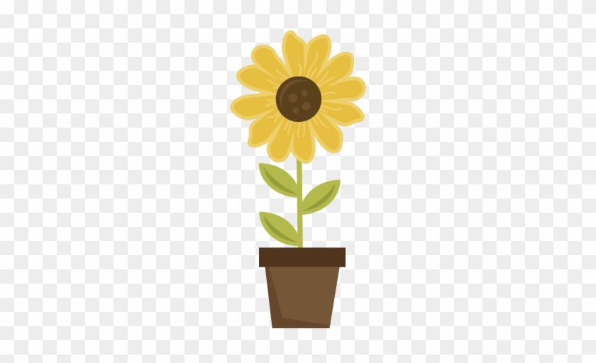 Sunflower In Pot Svg Sbook Le File Sun - Sunflower #1221625