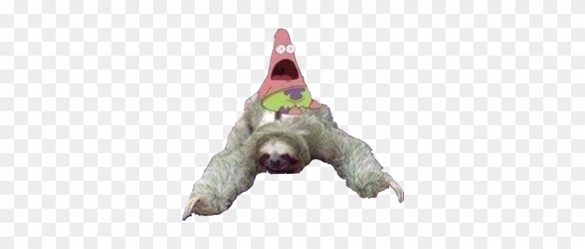 Sorry Just Saying Your Last Pic Isnt Transparent, You - Sloth Png #1221725