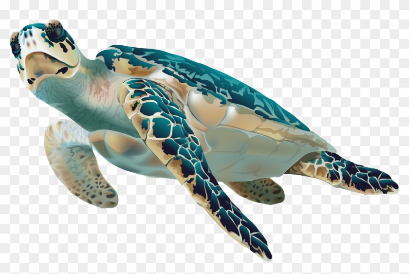 The Sea Clipart Transparent - Hawksbill Turtle Clipart #1221779