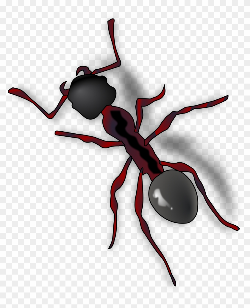 Transparent Background Ant Gif #1221804