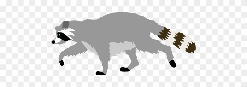 dead raccoon clipart image