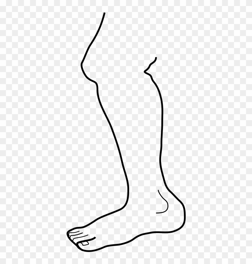 Legs Clipart Outline - Leg Black & White #1221844