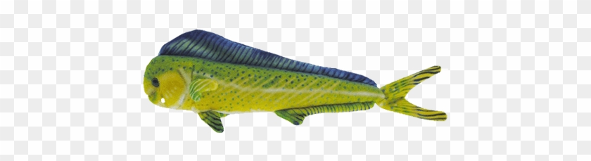 Rainbow Dolphinfish Plush Toy - Sand Eel #1221949