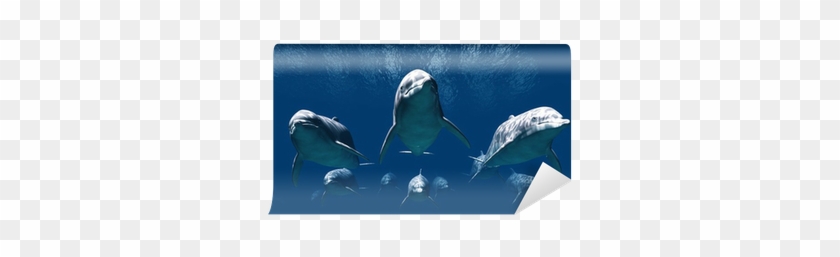 Getters Iida #1222106