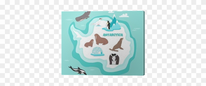 Golfinho, Baleia Cachalote, Pinguim De Imperador, Selo, - Zazzle Kindertierkarte Von Der Antarktis Spiral Notizblock #1222109