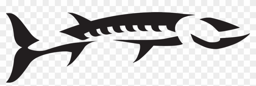 Barracuda Fish Logo - Barracuda Fish Logo #1222160