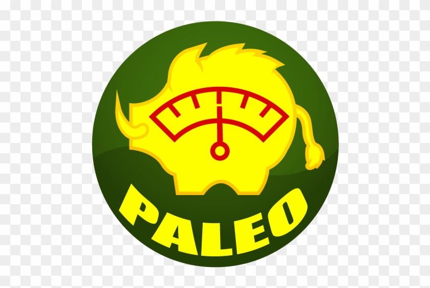 Stupid Simple Paleo - Ketogenic Diet #1222554