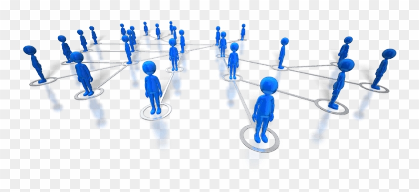 Network behavior