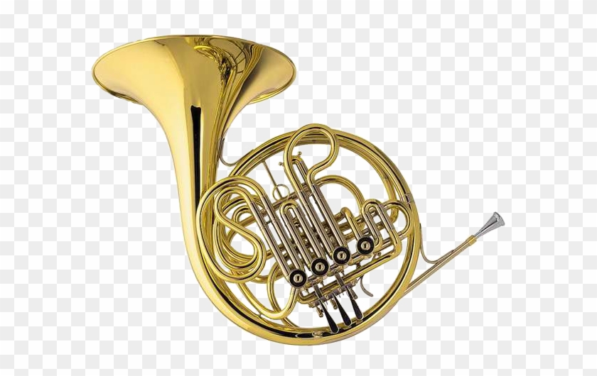 French Horn - Brass Instruments French Horn #1223138