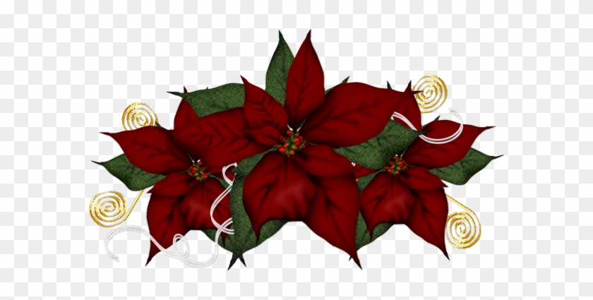 Karácsonyi Csövek - Poinsettia #1223169