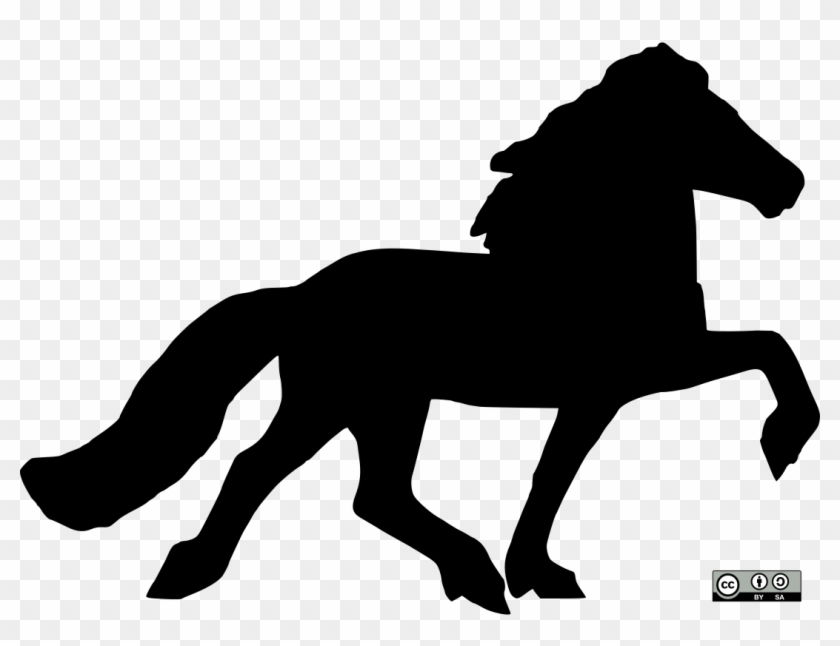 Cheval Islandais Tolt Silouette 0 Tete Droite V1 - Horse #1223170