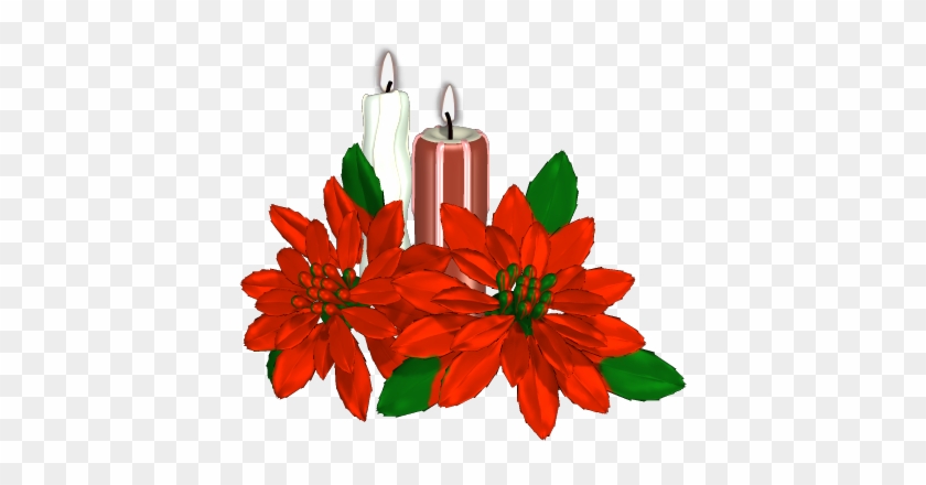 Christmas Candles - Poinsettia #1223179