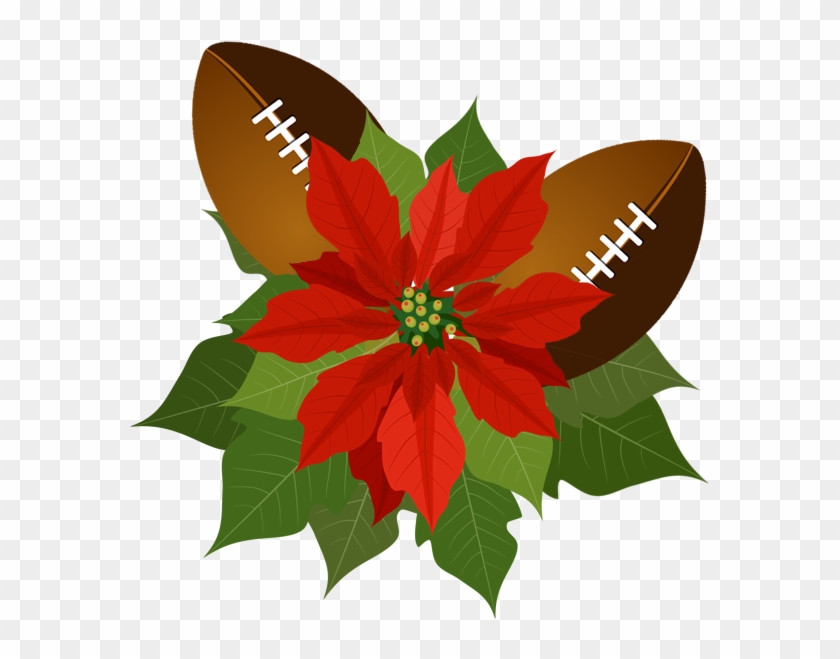 Poinsettia Bowl Gaslamp March - Poinsettia #1223203