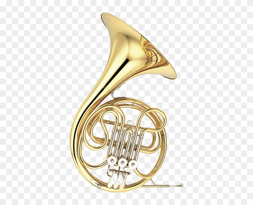 French Horns- Student - Members Of The Brass Family #1223259