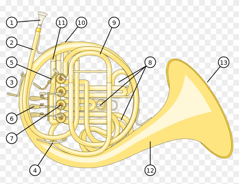 French Horn Back - Waldhorn Aufbau #1223272