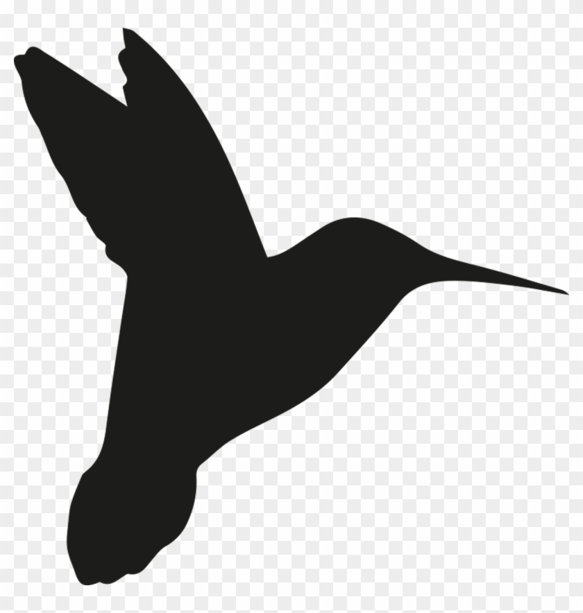 Silhouette Colibri #1223301