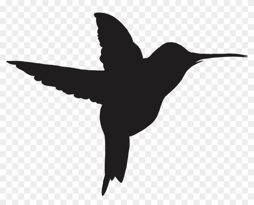 Need For Speed Hummingbird Computer Software Drawing - Beija Flor Png #1223315