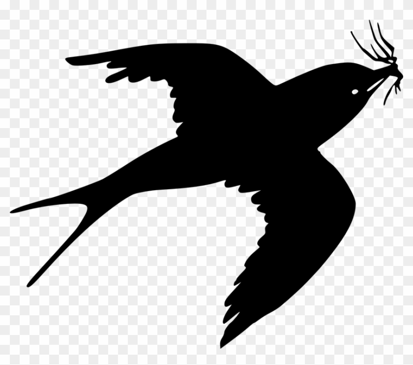 Swallow Fly Silhouette Card Stock Illustration - Sparrow Clipart #1223337