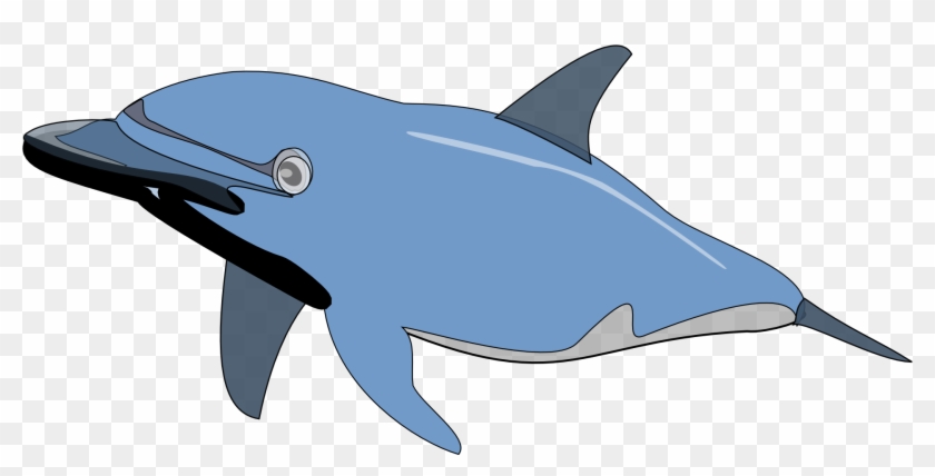 Common Bottlenose Dolphin Clip Art - Dolphin Clip Art #1223512