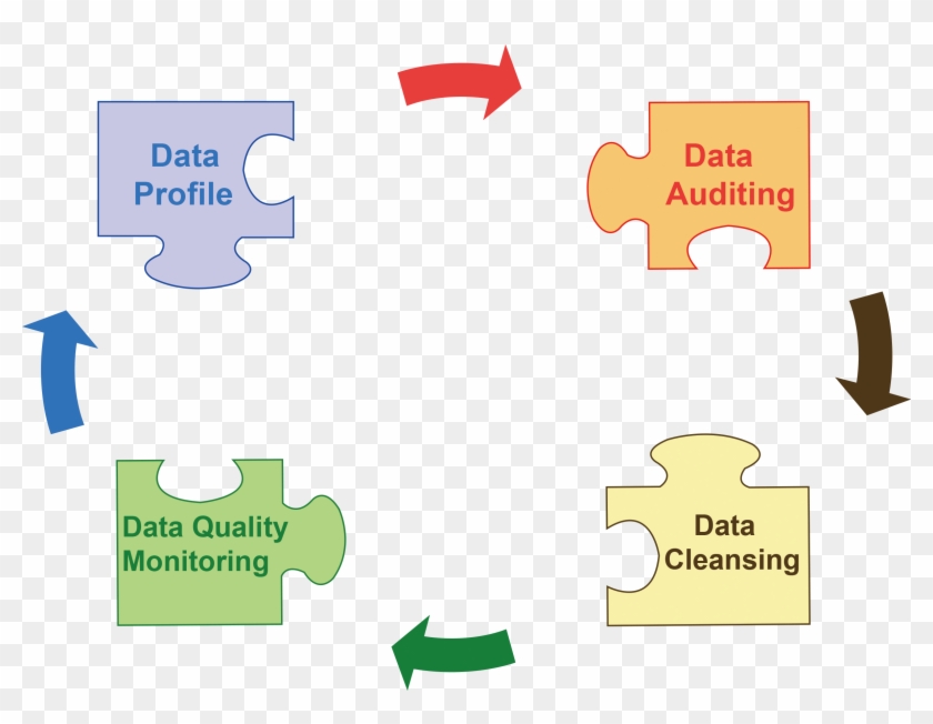 Profiling」、「data Auditing」、「data Cleansing」、「data Quality - Data Profiling And Cleansing #1223539
