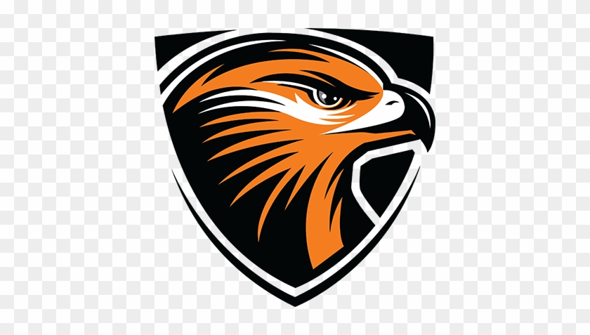 Orange Hawk Logo - Grafton High School Logo #1223655