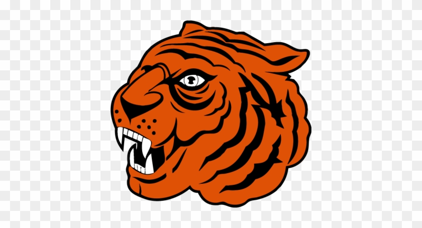 Hamilton Tigers Logo, 1920-1921 - Hamilton Tigers #1223744