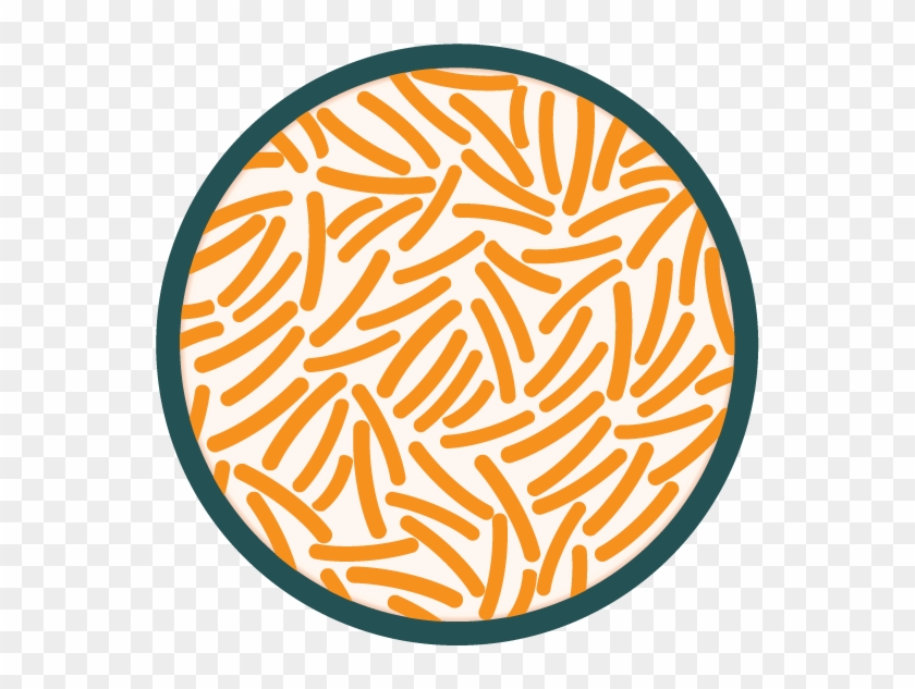Back To Step - Bacteria Growth Clipart #1223753