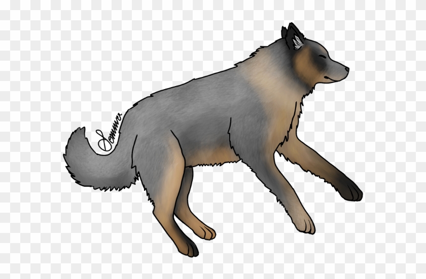 Here's A Little Spot Where We Post The Most Recent - Wolfdog #1223779