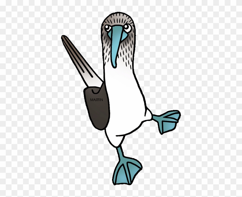 Blue Footed Booby - Blue Footed Booby Clipart #1223918