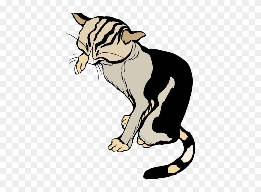 Cat Whiskers Tiger Cartoon Clip Art - Cat Whiskers Tiger Cartoon Clip Art #1223926