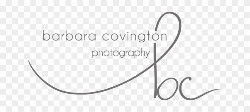 Barbara B Covington Photography Georgia Based Modern - Circle #1223933