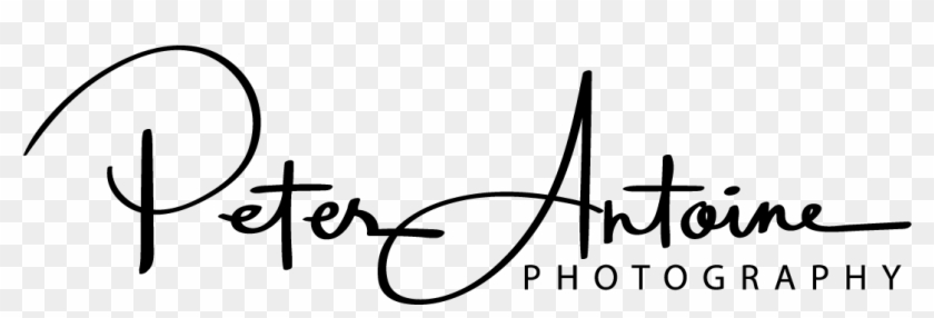 Peter Antoine Photography Logo Photographer Logo Free Transparent Png Clipart Images Download