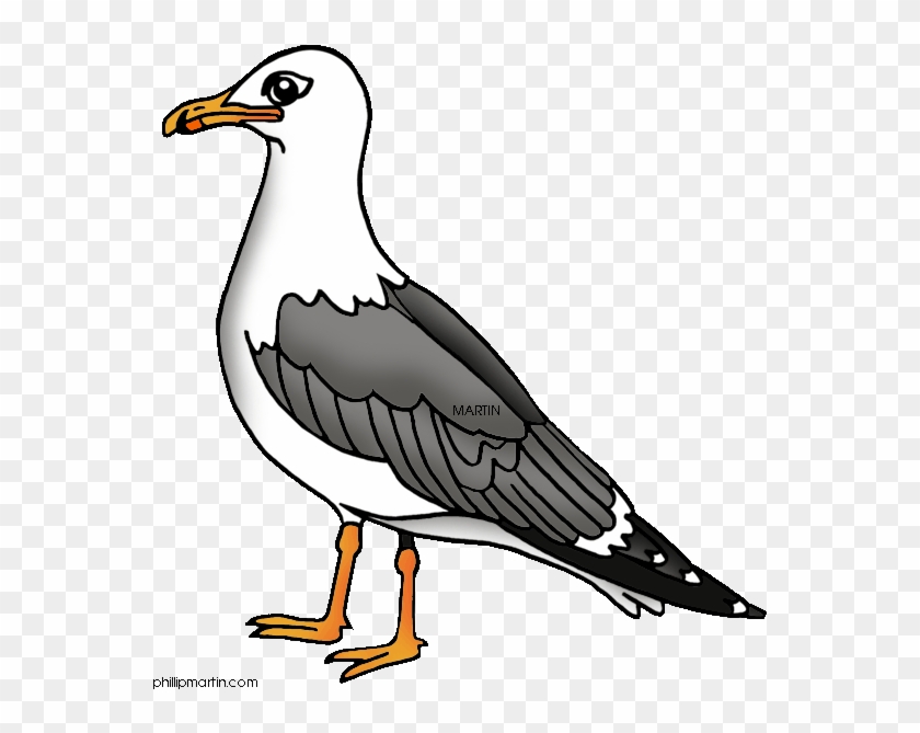 California Clipart - Sea Gull Clipart #1223940