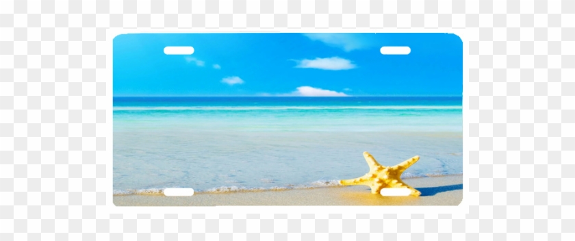 Starfish On Beach - Summer Beach #1224280