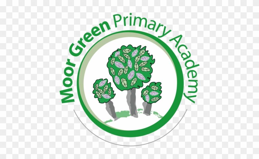 Moor Green Primary School - Moor Green Primary Academy #1224357