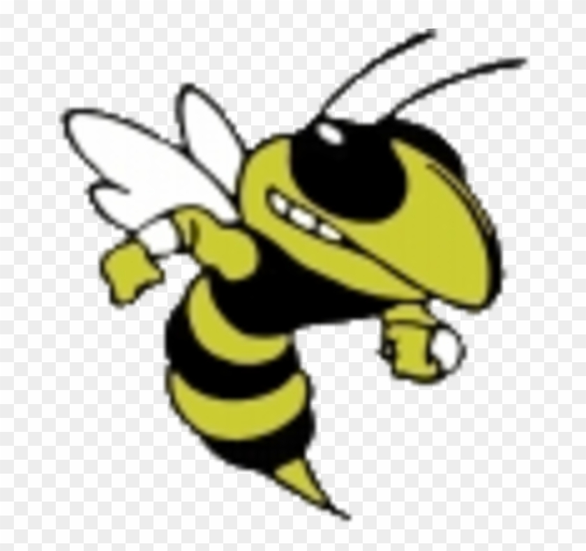 Thomas County Central Yellow Jackets #1224762