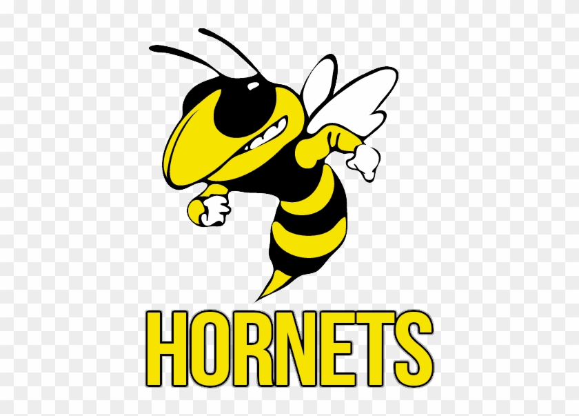 Mascot Hornets Team Varsity 2017 18 Colors Gold, White - T. L. Hanna High School #1224793