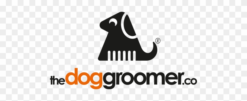 Professional Dog Grooming Services - Dog Grooming #1225145
