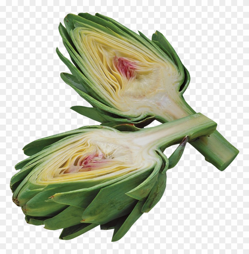 Artichoke #1225177